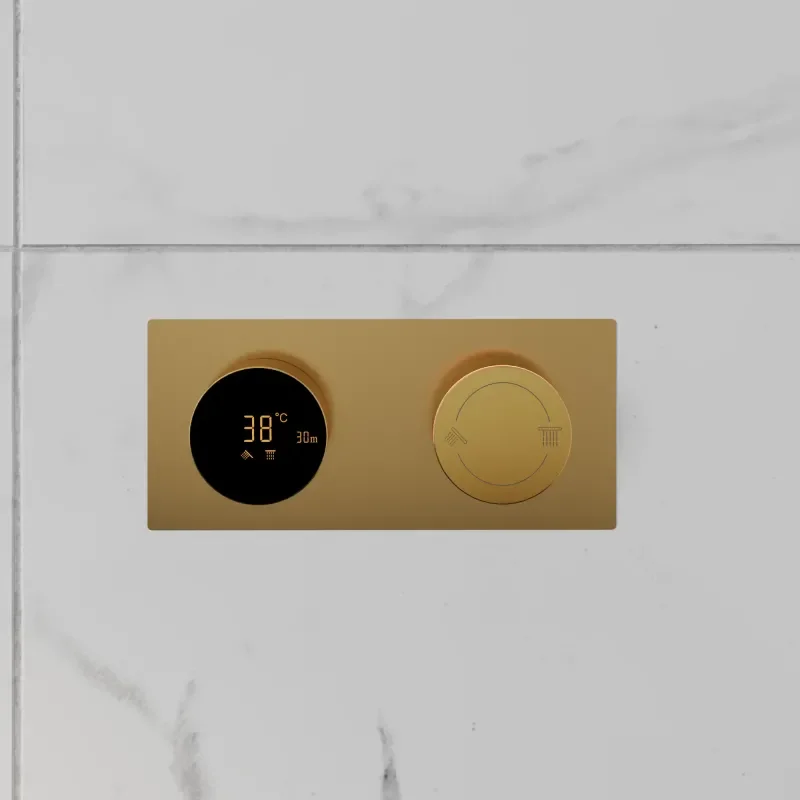 Cyber Rectangular brushed brass thermostatic shower valve dual