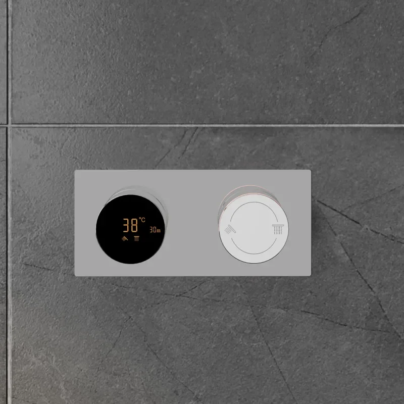 Cyber Rectangular Chrome Thermostatic Shower Valve Dual