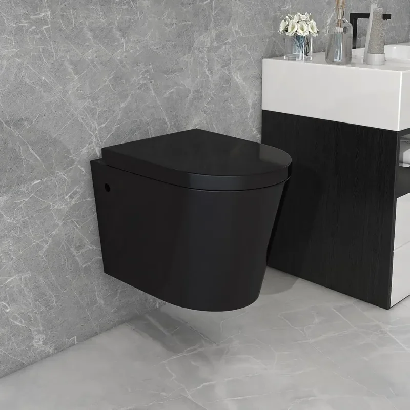 Alessio Black Wall-hung Toilet Pan