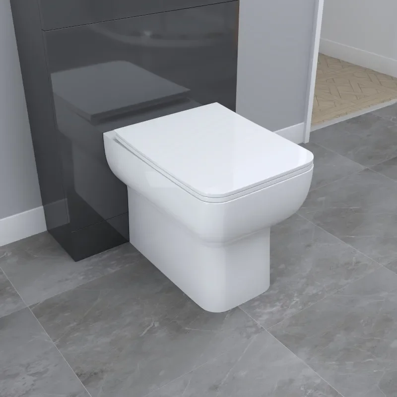 Close up of Back to Wall Toilet (Pan & Seat)