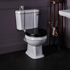 Fitzroy Close Coupled Comfort Height Toilet And Cistern