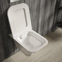 Grace Rimless wall hung toilet