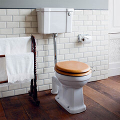 Low level toilet Pan with cistern and flush kit
