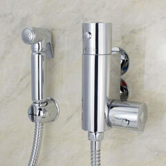 Thermostatic Chrome Douche Kit with Sprayer