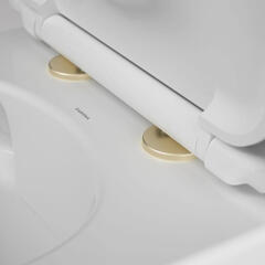Lifestyle Image of Toilet Seat Hinge Cover Caps