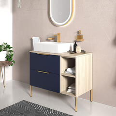 Alani 900 Navy Blue Vanity Rectangular Basin and shelves