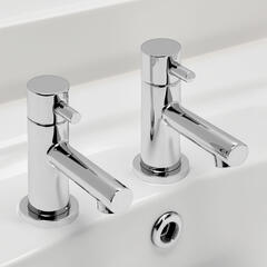 Zoo PAir of Basin Taps