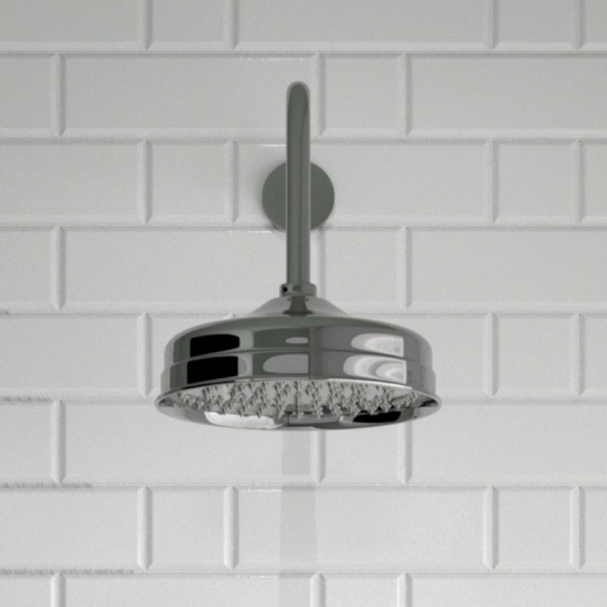 Carmel Traditional Chrome Shower Head Wall