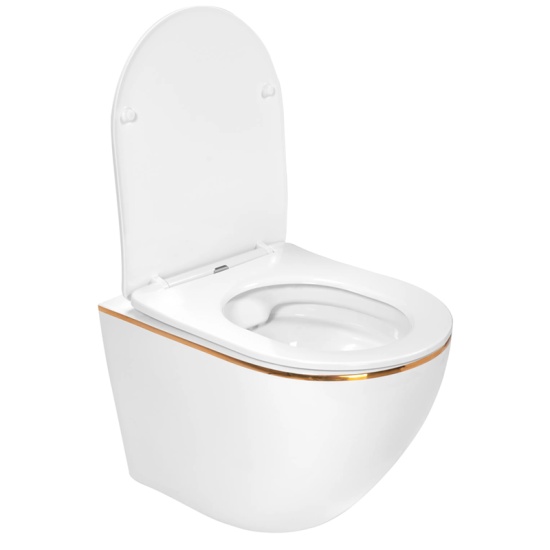 Kelsey Rimless White Wall Hung Toilet with Gold Edge