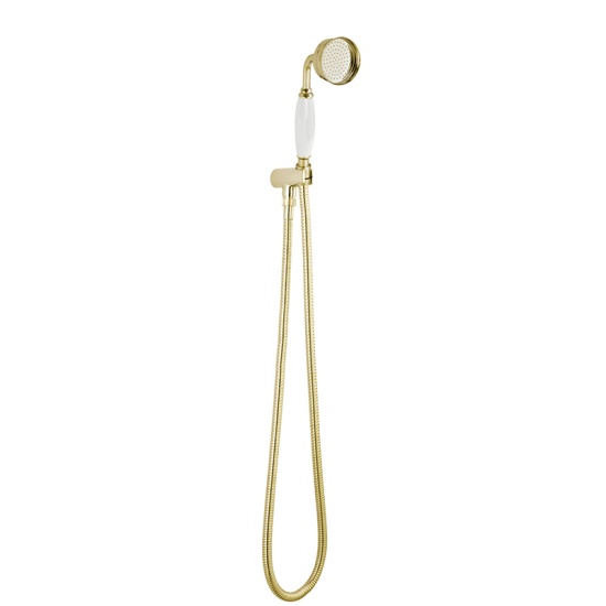 BC Designs victrion gold wall mounted handshower set
