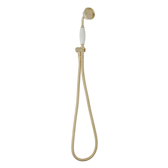 BC Designs victrion brushed gold wall mounted handshower set