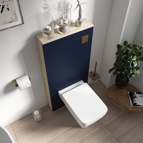 alani navy blue back to wall floor toilet unit