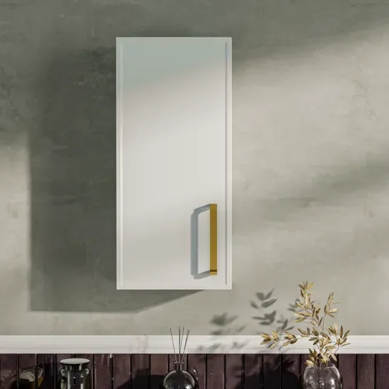 Oliver Matt White 300mm Wall Cabinet with Shaker Door (Slim & Standard)