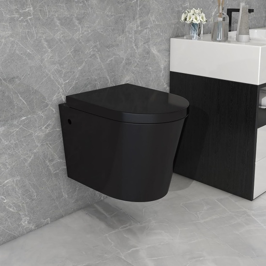 Alessio Black Wall-hung Toilet Pan
