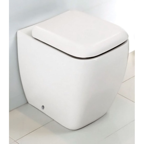 Back To Wall Toilet Close Up View  Back To Wall Curved Pan With Soft Close Seat
