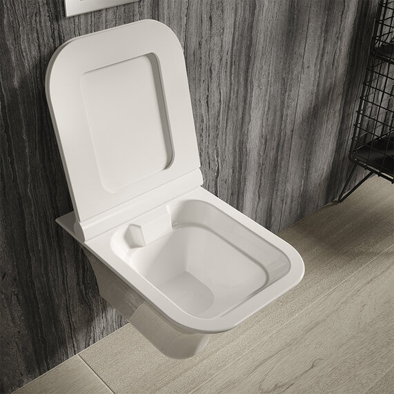 Grace Rimless Wall Hung Toilet