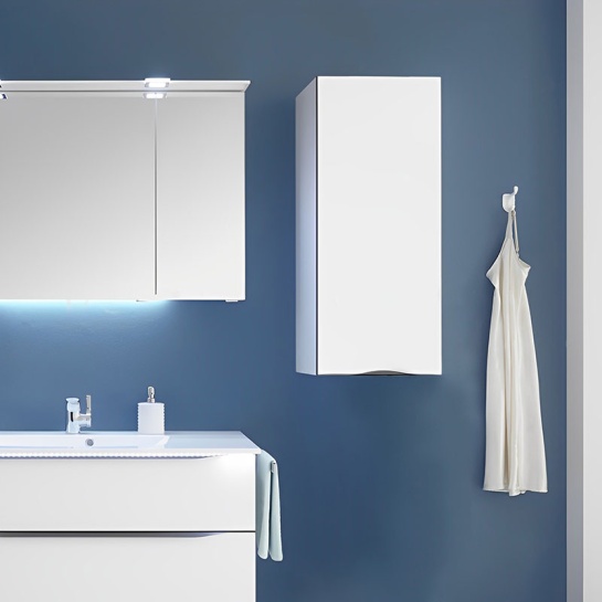 Solitaire 6025 wall cabine1 door, glass shelves 700x450 Solitaire 6025 wall cabine1 door, glass shelves 700x450