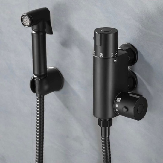 Douche Kit in Black Douche Kit in Black with Hose, Spayer and Thermostatic Bar Valve