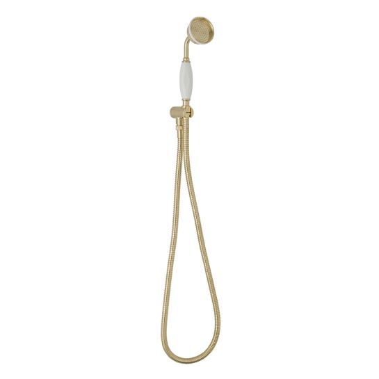 BC Designs victrion brushed gold wall mounted handshower set