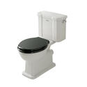 bayswater victrion close coupled toilet with black seat
