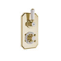 bayswater victrion gold concealed shower valve one outlet