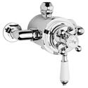 Extra Product Image For Chrome Victorian Thermo Dual Exposed Valve 1