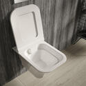 Grace Rimless wall hung toilet