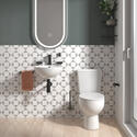 Extra Product Image For Tesla Wall Hung Basin And Toilet Niagra Taps 1