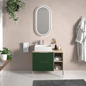 Alani 900 Green Vanity Rectangular Basin and shelves