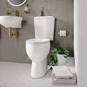 tesla petite bath suite basin toilet gold