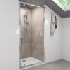 Radiant Deluxe Standard Shower Door Pivot 900