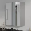 Main Product Image for Oliver Dust Grey 600mm Mirror Cabinet