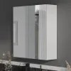 Main Product Image for Oliver White 600mm Mirror Cabinet