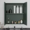 Oliver Sage Green 600mm Mirror Cabinet