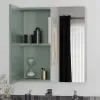 Oliver Sage Green 600mm Mirror Cabinet