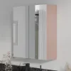 Main Product Image for Oliver Pink 600mm Mirror Cabinet