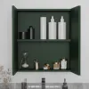 Oliver Matt Green 600mm Mirror Cabinet