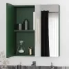 Oliver Matt Green 600mm Mirror Cabinet