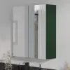 Main Product Image for Oliver Matt Green 600mm Mirror Cabinet