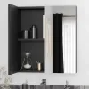 Oliver Matt Black 600mm Mirror Cabinet