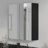 Main Product Image for Oliver Matt Black 600mm Mirror Cabinet