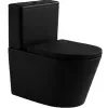 Alessio Black Close-coupled Toilet