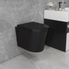 Alessio Black Wall-hung Toilet Pan
