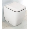 Back To Wall Toilet Close Up View Back To Wall Curved Pan With Soft Close Seat